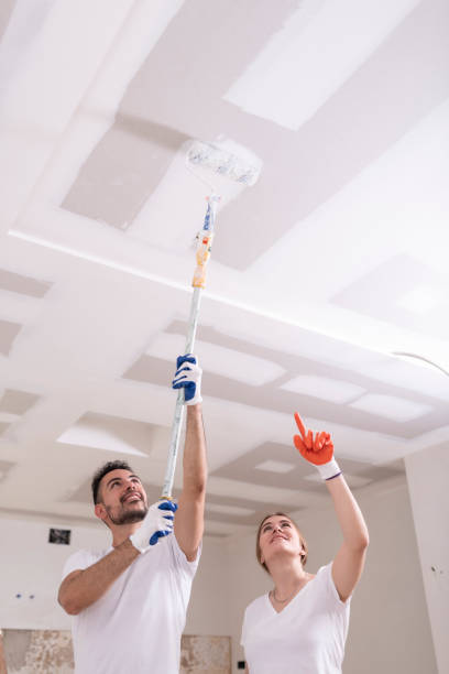 Best Ceiling Drywall Installation  in Inglis, FL